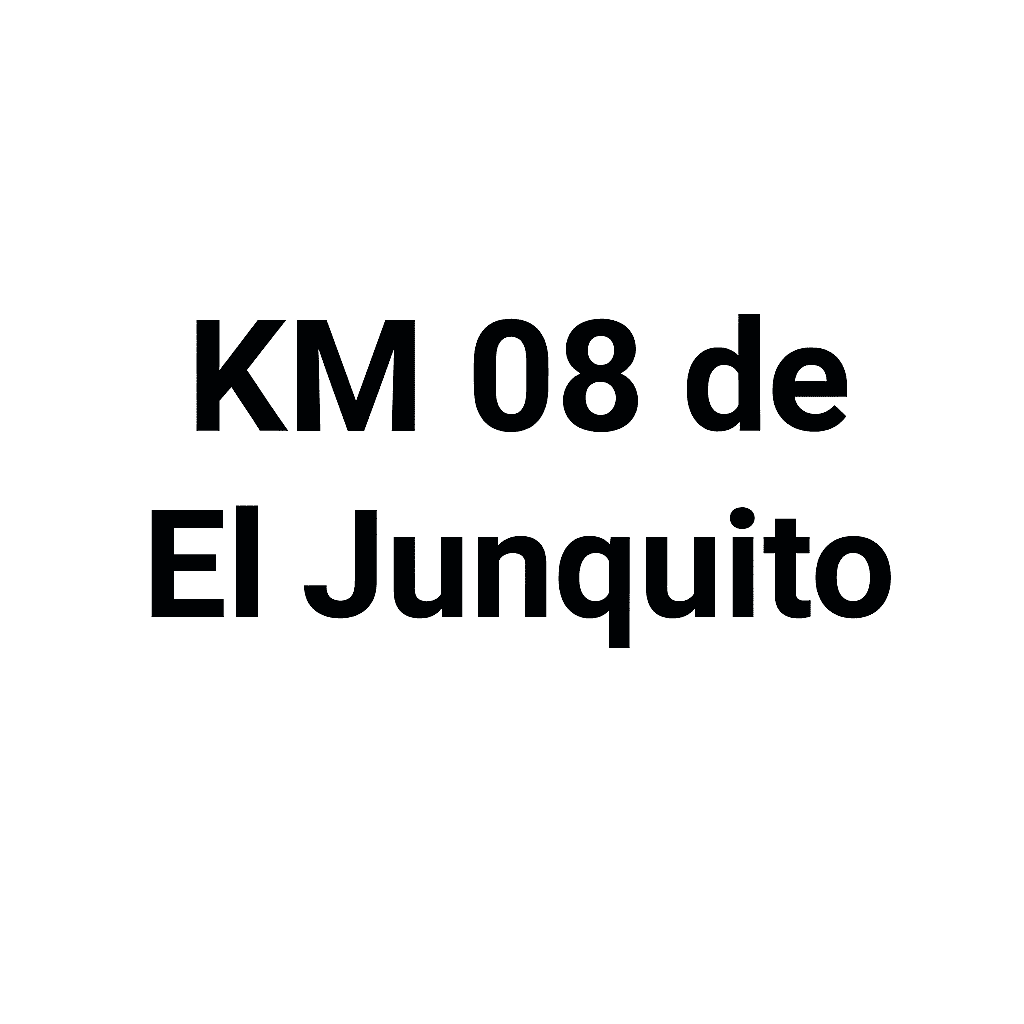 Km 08 El Junquito
